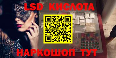 дмт Кингисепп