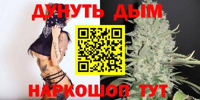 дмт Кингисепп