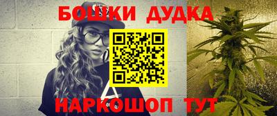 дмт Кингисепп