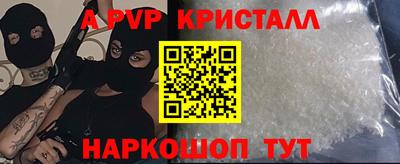 дмт Кингисепп