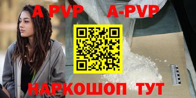 дмт Кингисепп