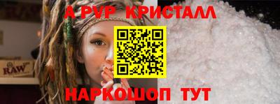 дмт Кингисепп