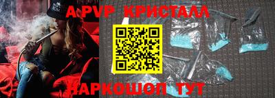 дмт Кингисепп
