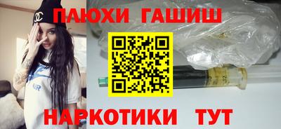 дмт Кингисепп
