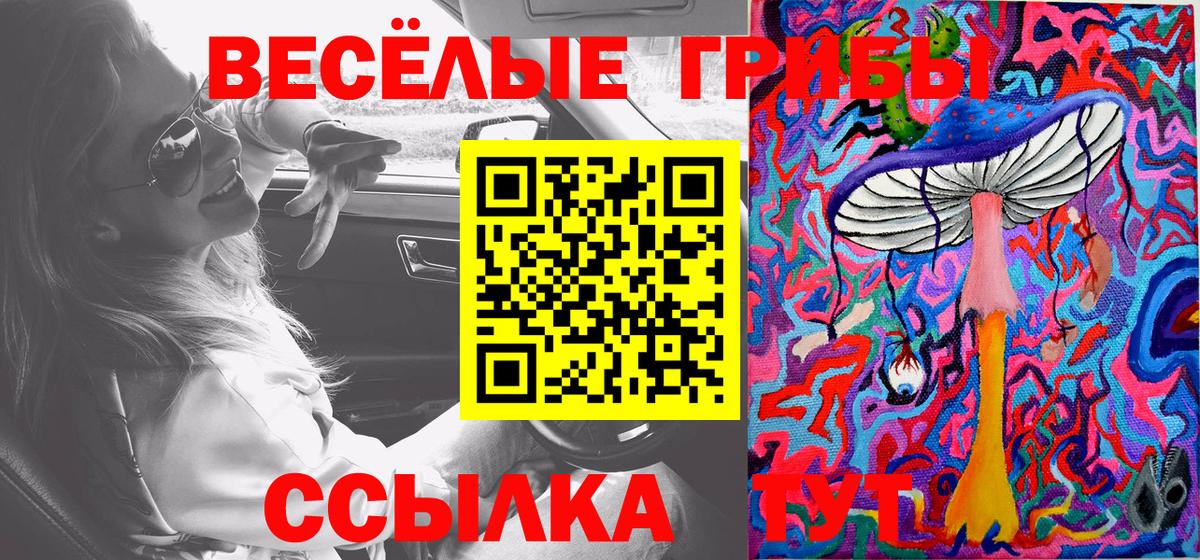 Псилоцибиновые грибы мицелий Шали